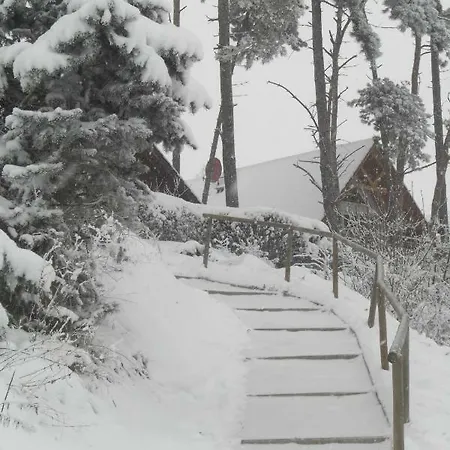 Mueritzzauber / Eg-appartement *