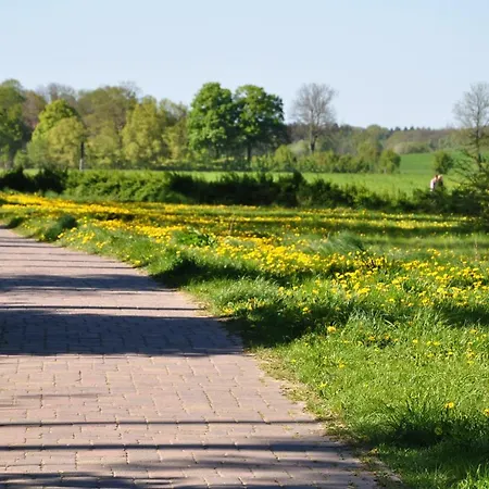 Mueritzzauber / Eg-appartement