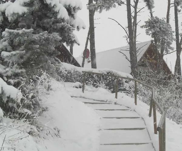 Mueritzzauber / Eg-appartement *